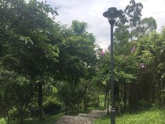 -火炉山森林公园
