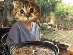 -马帮菜馆·美味野生菌