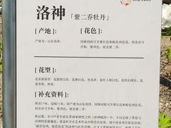 -太阳宫公园