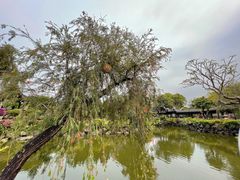 -中山詹园