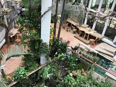 -正佳雨林生态植物园