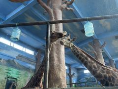 -鄂尔多斯野生动物园