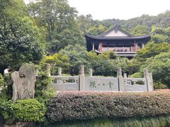 -十八棵（老龙井）御茶园(老龙井店)