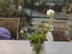 -悦哉·派对·草坪婚礼·围炉煮茶(三圣乡店)