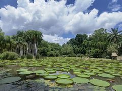 -中国科学院西双版纳热带植物园