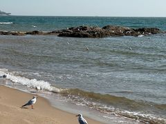 -北戴河东海水浴场