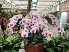 -兰陵国家农业公园