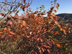 -香山公园-东宫门售票处