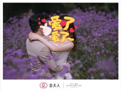 点击看大图 -金夫人婚纱摄影(总店)