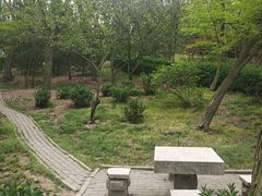 -观象山公园