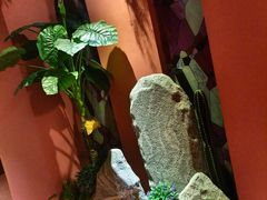 -泰融玺·泰式按摩SPA(包河万达店)