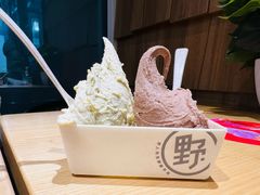 -野人先生现做冰淇淋(北京顺义祥云小镇店)