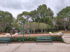 -新江湾城公园