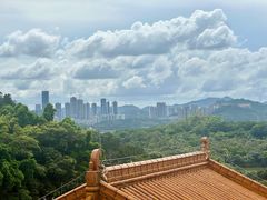 -深圳仙湖植物园