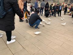 -白鹿原影视城