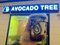 -油梨树AVOCADO TREE(顺义新国展店)