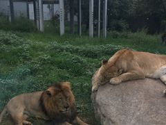 -西安秦岭野生动物园