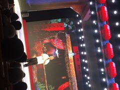 刘老根大舞台(正阳街分部)-大舞台剧场