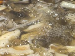 -鲜菌江湖正宗野生菌火锅