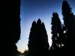 -武陵山森林公园