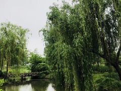 -鹅湖玫瑰文化园