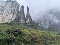 -恩施大峡谷