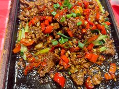 -龙师傅卤炒(天马店)