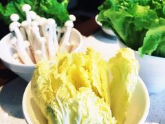 -九府羊·鲜羊火锅·烤串(新华路店)