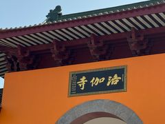 -黄金海岸