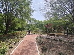 -廊坊市自然公园