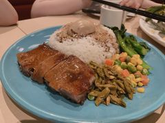 吊烧琵琶鸭饭-避风塘(金山万达店)
