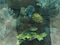 -苏州海洋馆