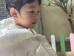 -南湖梦幻岛