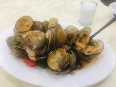 -蚝专家