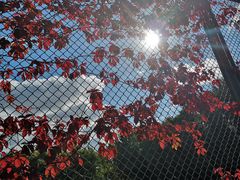 -中国建设银行哈尔滨培训中心