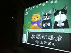 -有猫主题·治愈系猫咖(曾厝垵店)