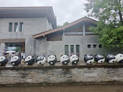 -都江堰中华大熊猫苑
