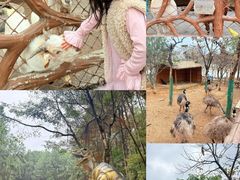 -佛冈森波拉度假区