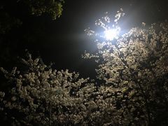 -梅园食堂