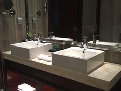 -常州环球恐龙城维景国际大酒店