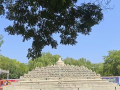-北京世界公园