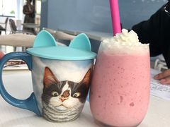 -喵的天空名猫咖啡馆·撸猫·猫舍·用品