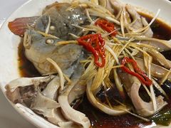 -煲来饱去冷水鱼