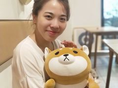 -柴务处·柴犬主题狗咖