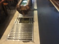 -思金拉措庄园藏餐(太阳岛店)