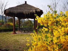 -西海岸生态观光园