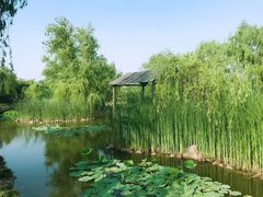 -竹泉村旅游度假区