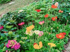 -人民公园(罗湖区)