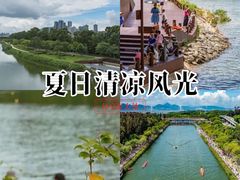 -大沙河公园