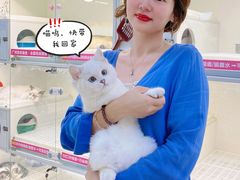 -lincat·猫舍(广州店)